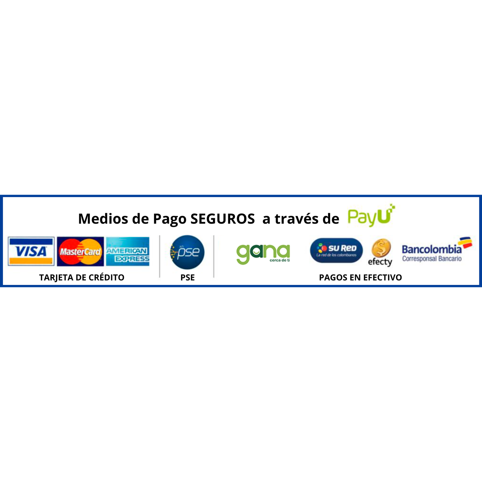 Medios de Pagos Seguros